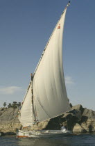 Single felucca on the River Nile