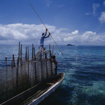 Fisherman on fishtrap on boat spearing fish  long pole boy coral