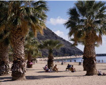 Las Teresitas. Sunbathers sit among large palms on long sandy beach with dark cliffs beyond