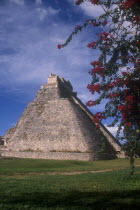 Mayan ruin Pyramid dating from 1000 AD with overhanging flowers on a tree in the foreground