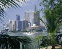 City skyscrapers and waterfront seen through palm leaves wth a white cruiser sailing past