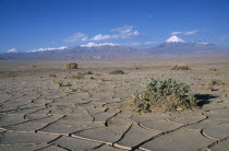 Cracked earth of desert surface near San Pedro de Atacama with snow capped peak of Volcano Lincancabur beyond.5916 m