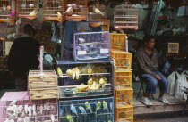 Kowloon.  Yuen Po Street Bird Garden.  Vendor on step of open fronted shop selling caged birds.Former crown colony reverted to Chinese rule in 1997