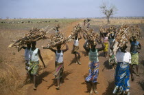 Women gathering firewood in landscape denuded of trees.