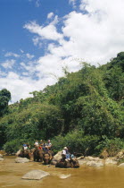 Western tourists riding elephants in the Mae Taeng River