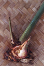 Galangal a golf club shaped ginger