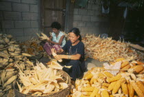 Woman shucking corn in a rural house