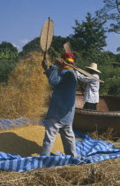 Man tosses rice in the air as another winnows with bamboo fans