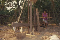 Woman grinding coffee seeds with a foot powered mill to remove chaffRubiaceae