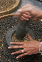 Woman grinding coffee seeds with a pestle and mortar to remove pulpRubiaceae