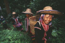 Lahu women picking tea on a plantation