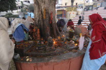 Hindu women worshipping Shiva Lingams around a chautara tree at Asi Ghat
