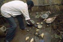 Self Reliance Project.  Refugee feeding ducks and ducklings.