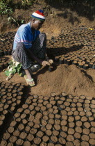 Reforestation project.  Refugee working in a plant nursery.Refugees from the Congo and Rwanda fleeing conflict in Burundi Zaire