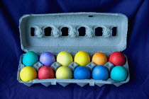 A dozen dyed Easter eggs in a carton.