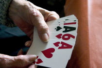 Elderly woman playing card game with large print cards.Aunt Fran age 92 suffering from macular degeneration a breakdown of light-sensitive cells in the central area of the retina making reading and c...