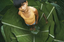 Young Macuna boy standing in a hole lined with Heliconia leaves used for storing manioc starch.