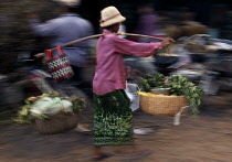 Woman carrying fresh produce in two baskets balanced on a pole over her shoulderAsian Cambodian Kampuchea Southeast Asia 2 Female Women Girl Lady Kamphuchea Female Woman Girl Lady