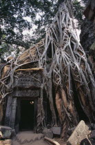 Ta Prohm.  Doorway of twelth century Buddhist temple amongst tangle of banyan tree roots.Asian Cambodian Kampuchea Religion Southeast Asia History Kamphuchea Religion Religious Buddhism Buddhists