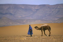 Tuareg leading camel in desert near Zagora