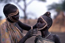 Dinka girl decorating the face of a friend using dung ash mixed with water or cattle urine.African Indigenous Middle East North Africa Sudanese Cow  Bovine Bos Taurus Livestock Indegent