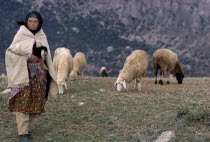 Young shepherdess with flock