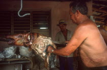 Man carving barbequed pig