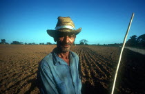Male tobacco worker standing by field of young tobacco plants