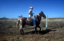Cattle worker on horseback riding past a wire fence