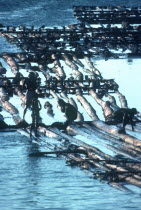 Logging workers and logs floating down river