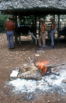 Men branding cattle held in a cage on a ranch with the branding irons in a fire in the foreground