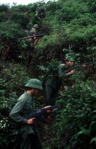 Soldiers on a training exercise.  View up hillside along advancing line and dense undergrowth.