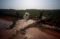 Irrigating paddy fields along the road to Ha Bac.