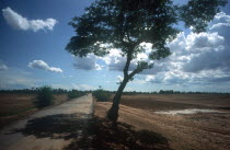 National Route 6 north of Ba Rai stretching to the skyline  solitary tree on the right handside.
