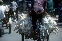 Near Cholon market in district 5.  Cyclo loaded with ducks  viewed from behind.