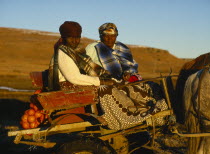 Basotho women in horse drawn cart  oranges on back.
