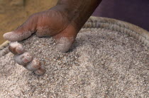 Eshowe.  Zulu beer making  detail of a hand in a basket of an ingredient called ground sorgum.