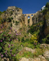 Ronda  Puente Nuevo Bridge spans deep rocky chasm  wild flowers in front