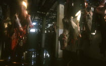 Carcases hanging in abattoir with bloddied skin hanging from the bodies