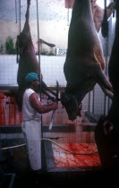 Abattoir with man wearing long apron cutting away at hanging carcases with large knife