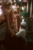 Women working in abattoir stipping skinned hanging carcases