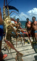 Man standing on jetty holding up deep sea lobster
