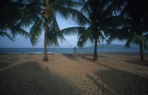 Sandy beach with palms looking toward the sea