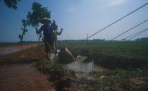 Vietnam, Irrigating paddy fields next to road to Ha Bac.
