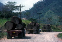 Ilegal logging trucks on a road at Darien.