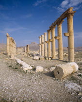 Palmyra monumental Arch columns & ruins some fallen & broken fort on hill