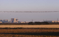 Nuclear Power station seen from across farm land in evening light with starlings perched on power cable lines.