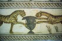 Mosaic depicting tigers and urn exhibited in the museumPtolemais Tolmeita