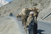 Man leading camel train along road with truck travelling in opposite direction. Lorry