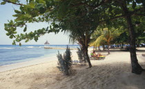 Beach and trees at the Half Moon Hotel